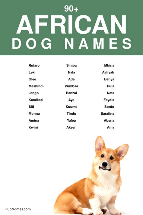 African Dog Names Dogs Names List Dog Names Baby Names Kodiak Brown