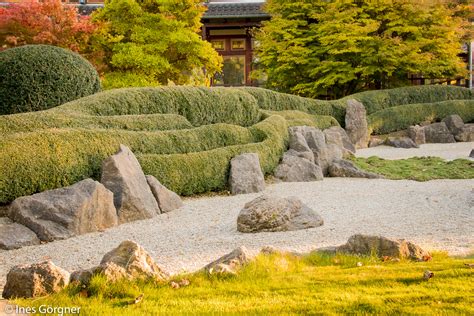 We did not find results for: Japanischer Garten - Garten der Glückseligkeit - in Bad ...