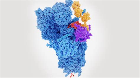 Protein Degradation Via Protac Gain Therapeutics Inc