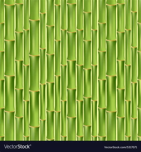 Green Bamboo Seamless Texture Royalty Free Vector Image