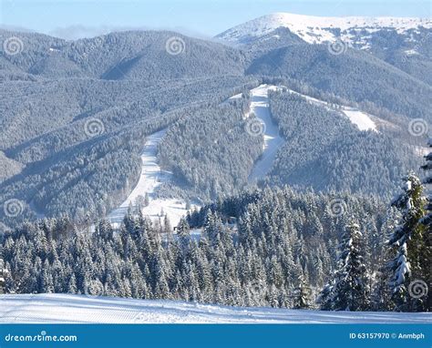Ski Pistes Among The Spruce Forest In Sunny Day Stock Photo Image Of