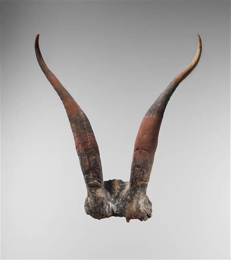 Bucrania Skulls With Antlers Second Intermediate Period The