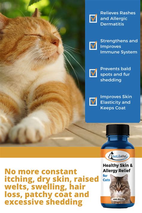 The cause is usually a meat the veterinarian may also give your cat a corticosteroid injection for immediate relief in severe cases of skin irritation. Is your kitty dealing with uncomfortable symptoms of ...