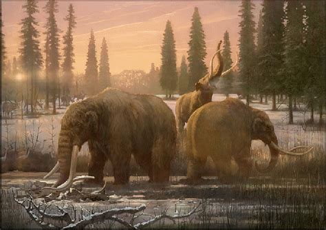 Mastodon Jurassic Park Institute Wiki Fandom