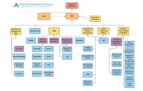 Hospital Organizational Structure Chart Vrogue Co