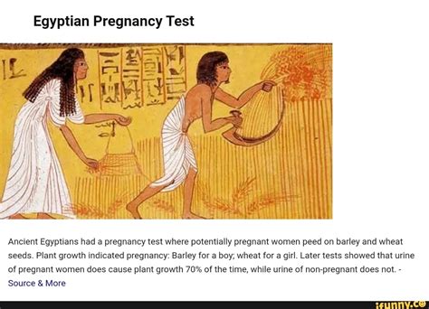 Egyptian Pregnancy Test Ancient Egyptians Had A Pregnancy Test Where Potentially Pregnant Women