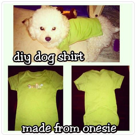 Do your best to block off any places in your home where she can. Diy dog shirt . Used a baby onesie. Upcycle baby clothes ...