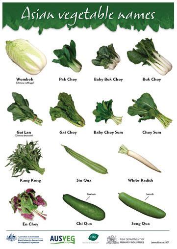 Chinese Vegetables Wombok Is Chinese Cabbage Napa Cabbage