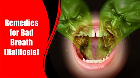 remedies for bad breath halitosis love healthy life youtube