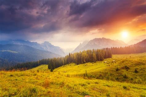 Magical Mountain Landscape Stock Photo Image Of Forest 88186978