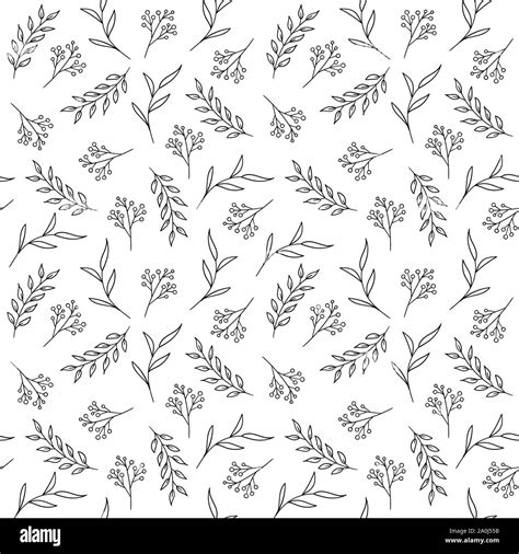 Floral Seamless Pattern Vector Hand Drawn Herbs Stock Vector Image