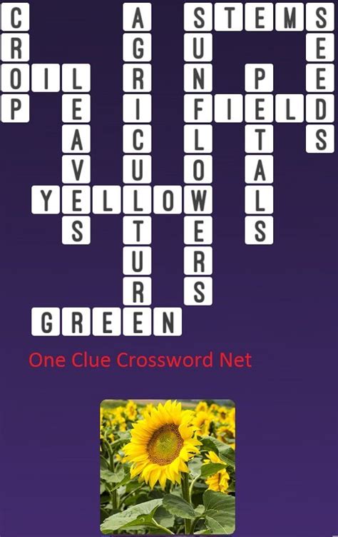 Sunflowers One Clue Crossword