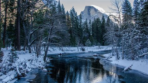 Download 2560x1440 Snow River Winter Forest Mountain