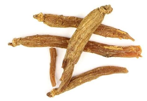 Korean Red Ginseng Root Extract Manufacturer Undersun