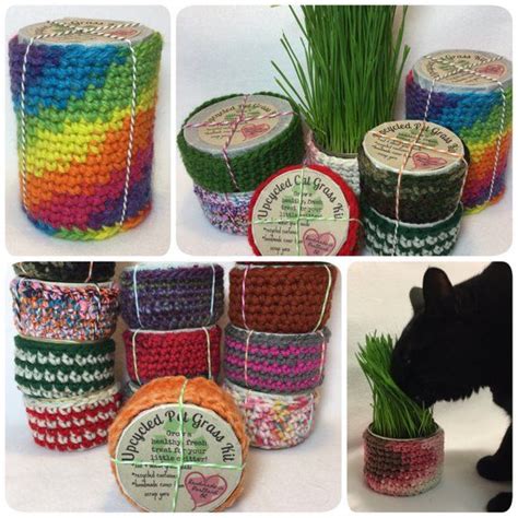 Organic cat grass growing kit with organic seed mix, organic soil and cat planter. Upcycled Wheat Grass Kit - Pet Grass - Cat Grass ...