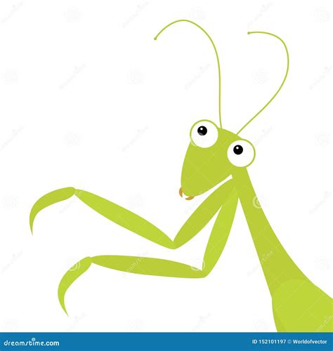 Insect Praying Mantis Cartoon Vector 12097777