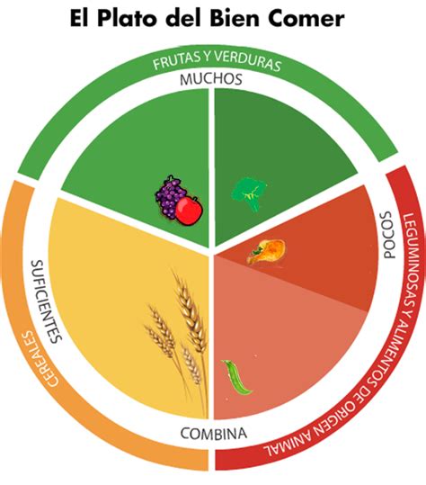 Nutrici N Para Ni Os Saludables Colores En El Plato Del Bien Comer