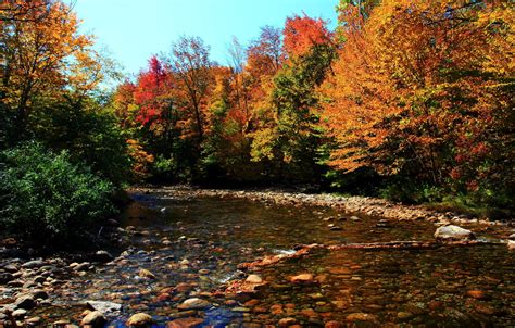 Wallpaper Forest Autumn Stones Fall River Autumn Colors River