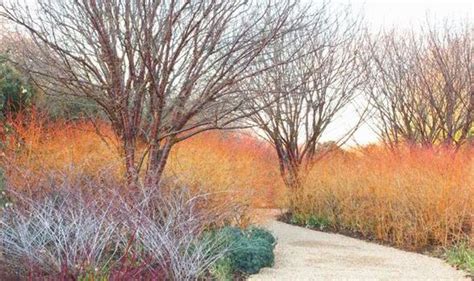 Alan Titchmarsh On Why You Should Be Planting Midwinter