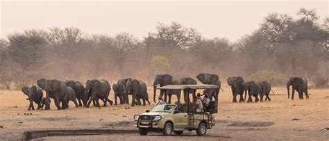 African Safari Tours Part 3 Zimbabwes Trio Of Safari Must Dos