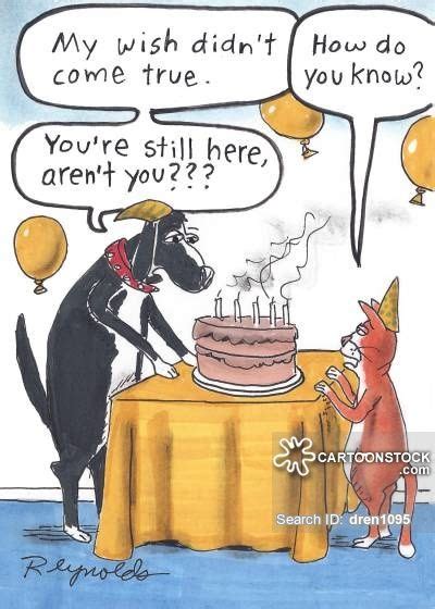 Pin By Phyllis Griffiths On Cats Funny Cartoon Birthday Wishes Funny