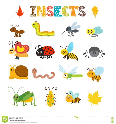 Vector Set Of Cartoon Insects Stock Vector Illustration