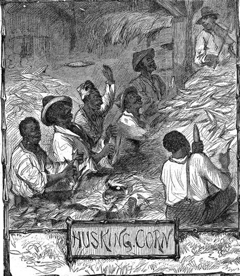 Women In The 19c United States Of America Slaves Working