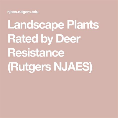 Landscape Plants Rated By Deer Resistance Rutgers Njaes Landscaping