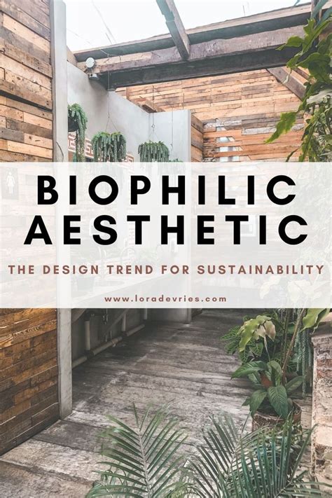 What Is Biophilic Interior Design And Why You Need It In Your Home In