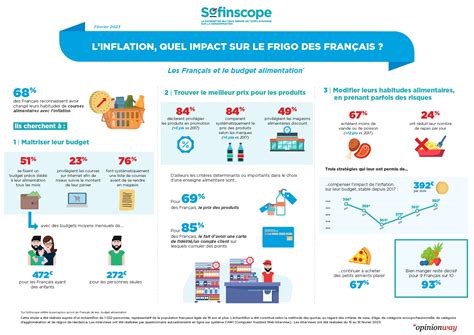 Les Fran Ais Et L Impact De L Inflation Sur Le Budget Alimentation Infographie Sofinscope