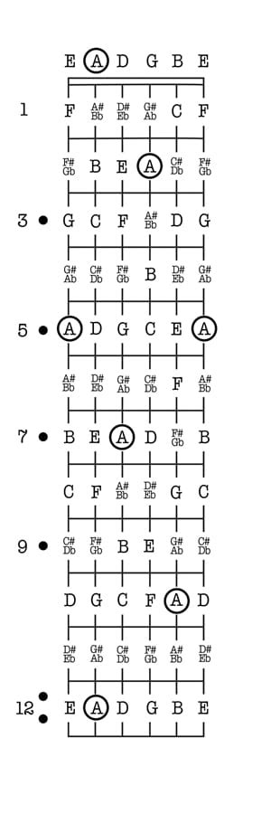 Learning The Guitar Fretboard Notes Bonus Guitar Notes Chart