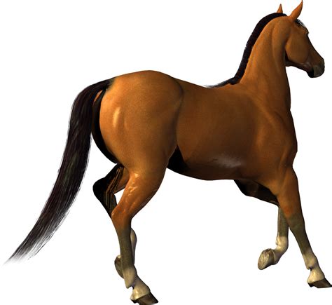 Horse Png Image