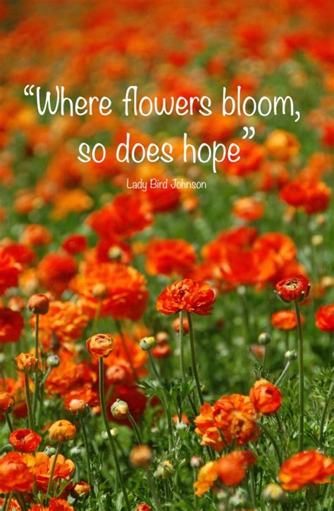 Where Flowers Bloom So Does Hope Art Print By Kelly Stiles Wild