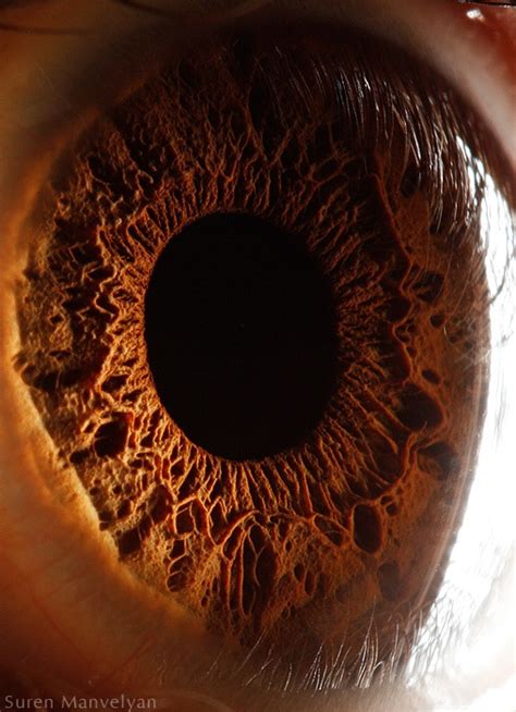 Your Beautiful Eyes Amazing Close Up Photos Of Human Eyes By Suren