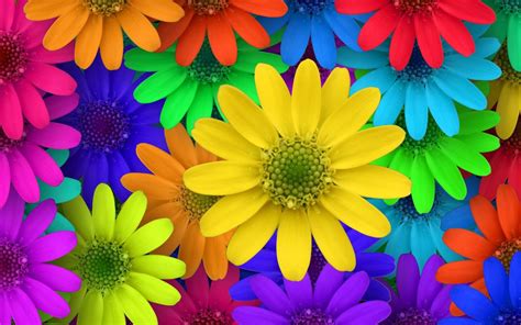 Flores Coloridas Jardim Imagens Criativas Papéis De Parede