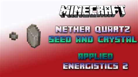 Nether Quartz Seed 📀 Nether Quartz Crystal 📀 Minecraft Applied