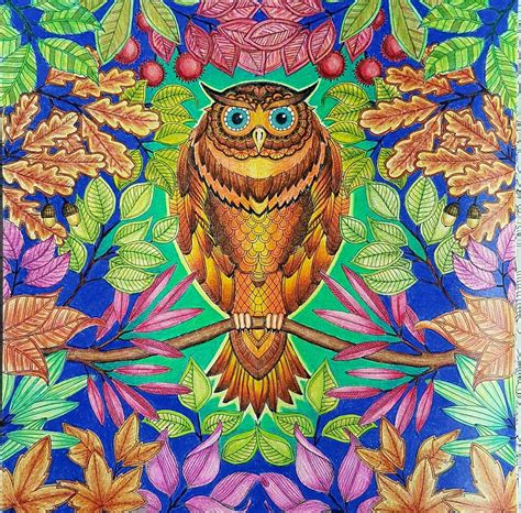 But background does not looks good and i'm not satisfied with it. Owl. Johanna basford secret Garden - coloured by Debbie ...