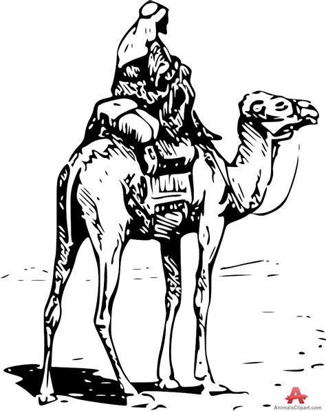 Person Riding Camel Clipart Stencil Free Design Download Wikiclipart