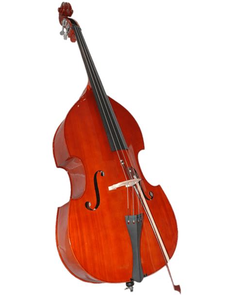 Double Bass Png Download Image Png Arts