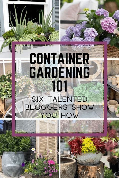 Container Gardens For Every Porch Or Patio Style A Diy Gardeners