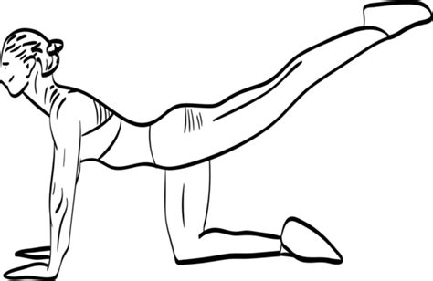 Illustration Of A Woman Exercising Depicted In Vector Format Against A White Background Vector