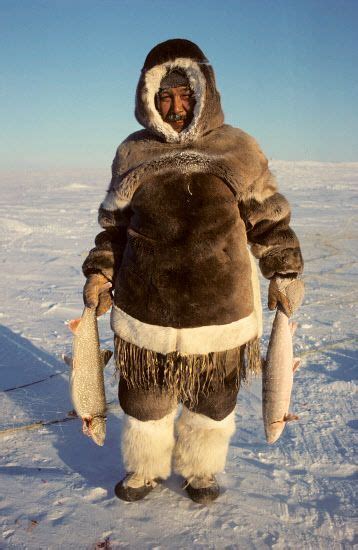 Nutarariaq An Inuit Hunter With His Catch Of Arctic Char And Lake