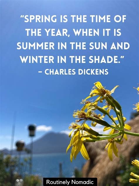 115 Funny Quotes About Spring For 2023 Routinely Nomadic