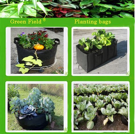 Additionally, plant pots can be made from various plastic resins including hard polystyrene (the same plastic as solo® cups) which also isn't recyclable in many cities lowe's even created a recycling and reuse program specifically for plastic pots at all of their garden center locations, nationwide. Black Plant Pots With Handle,Recycled Plastic Plant Pots ...