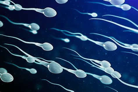 7 Signs Of Healthy Sperm Sneakpeek