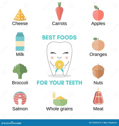 Best Food For Healthy Teeth Stock Vector Illustration Of Element