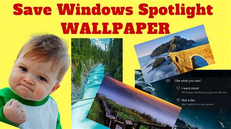 Windows 10 Lock Screen Wallpaper Windows Spotlight How To Save 😉