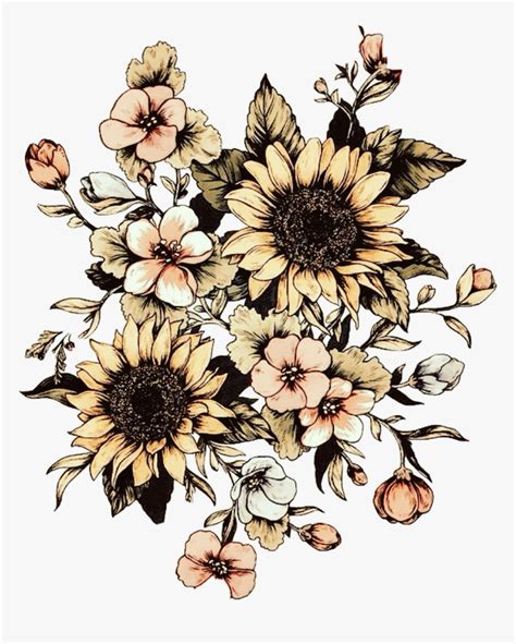 Transparent Vintage Sunflower Clipart Sunflower Drawing Black And