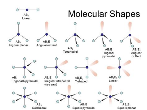 Shapes Of Molecules Diagram Quizlet