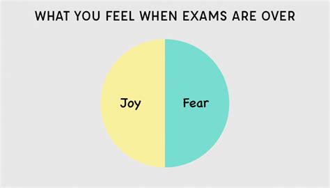 14 Hilarious Charts Students Cramming For Exams Will Relate To Page